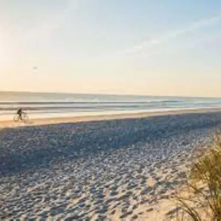 Comfortable Near The In