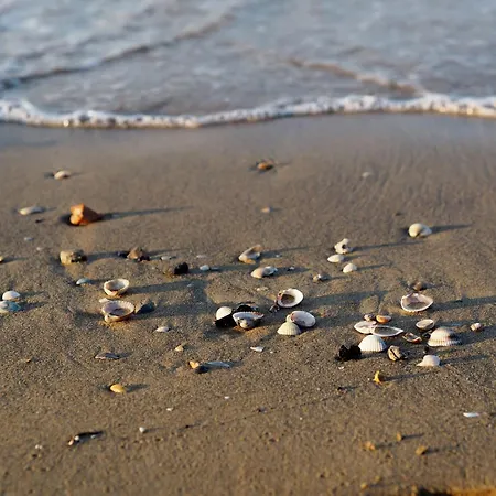 Comfortable Near The In Daire Bibione