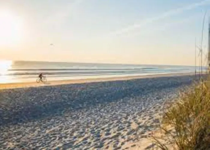 Comfortable Near The In