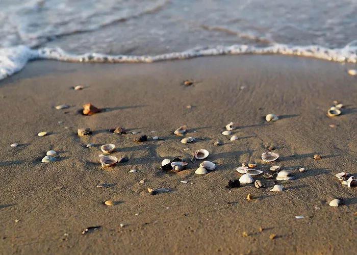 Comfortable Near The In Appartamento Bibione