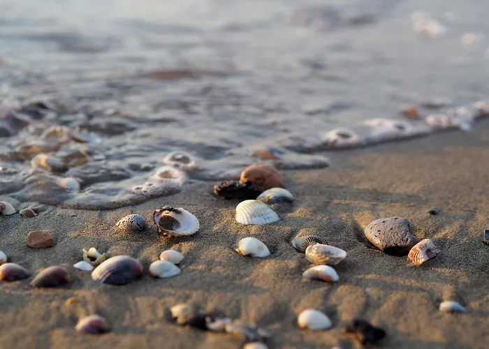 Comfortable Near The In * Bibione